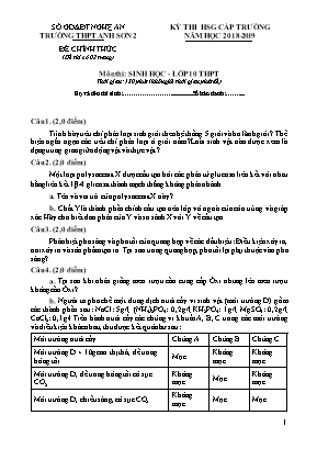 Đề thi học sinh giỏi cấp trường môn Sinh học Lớp 10 THPT - Năm học 2018-2019 - Trường THPT Anh Sơn 2